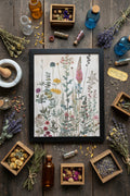 Lupine & Lace